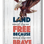 Novelty Sign Patriotic Eagle                                                                        